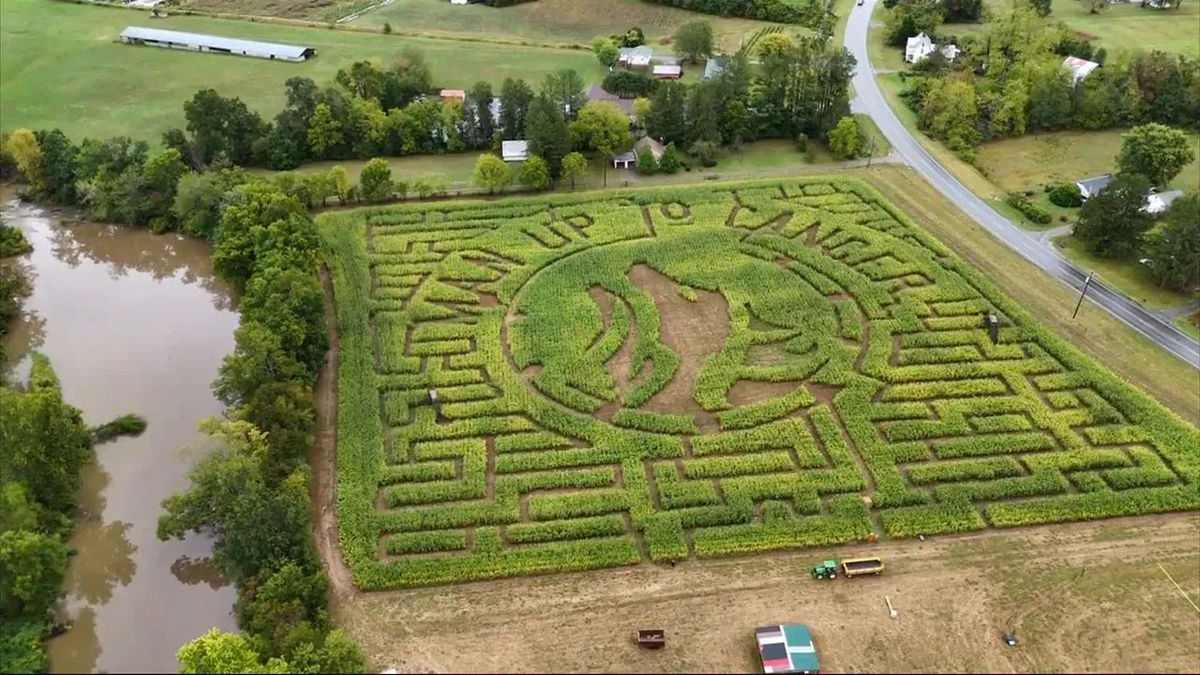 <i>WLOS via CNN Newsource</i><br/>The Cold Mountain Corn Maize opened for the season last weekend and will have haunted Halloween nights starting in October.