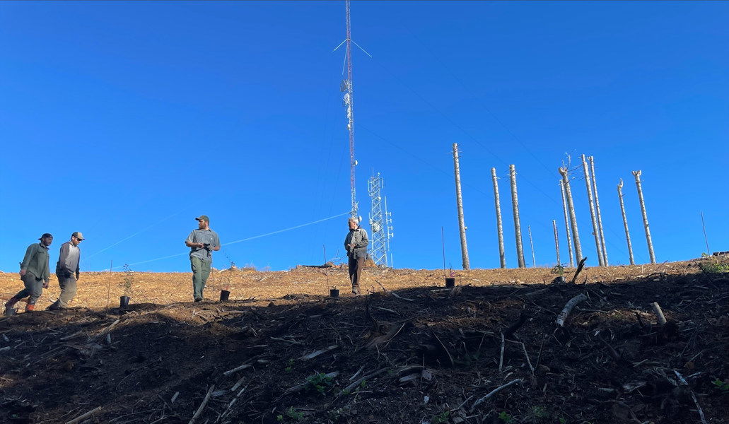  The Oregon Department of Forestry coordinated the timber sale that helped create the Walker Meadow. The trees were harvested around critical communication towers to help reduce wildfire risks to them. There was also a smoke detection camera at the site.