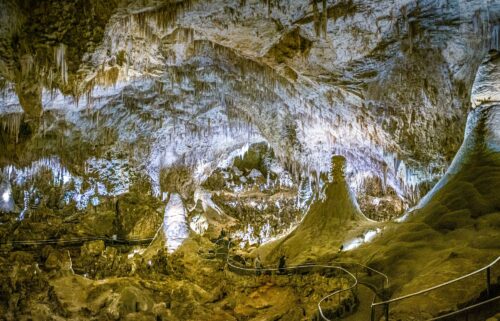 Carlsbad Caverns National Park in New Mexico is home to a fragile ecosystem.