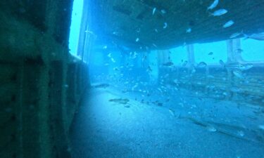 Sunken MARTA railcars have a new use underwater.