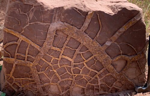 A geological field section reveals a desiccated land surface