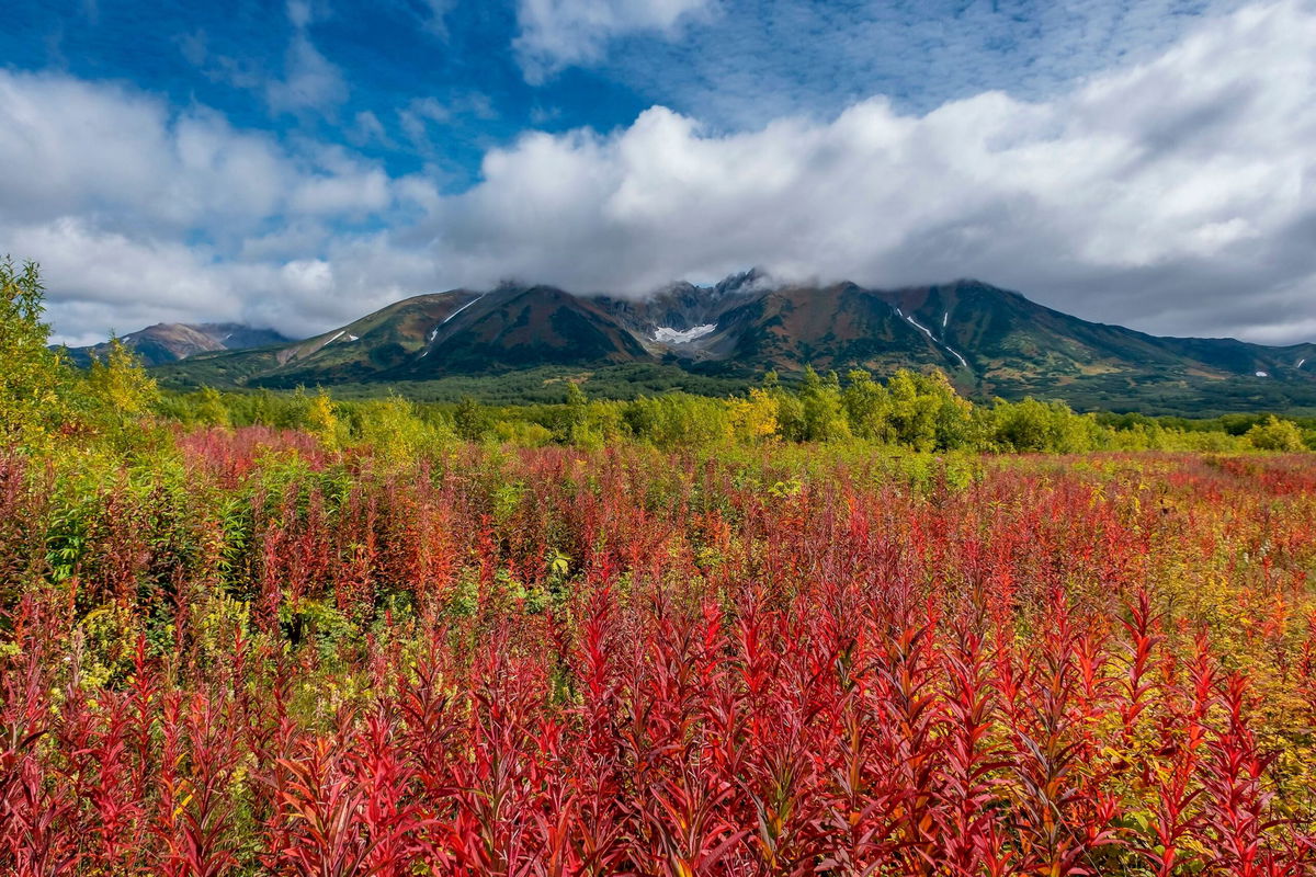 <i>dpa/picture alliance/Zoonar/Sipa/File via CNN Newsource</i><br/>A file image of the Vachkazhets volcano in Kamchatka in March 2021.