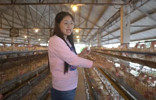 Guo shows her chicken farm Bamban