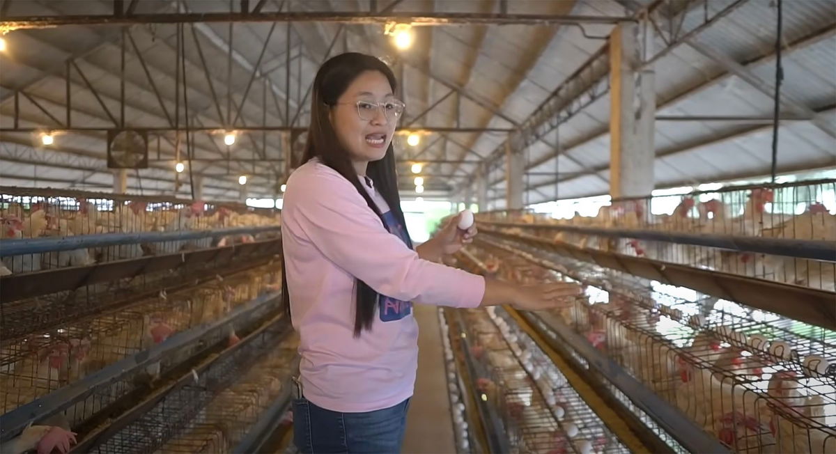 <i>Alice Leal Guo/YouTube via CNN Newsource</i><br/>Guo shows her chicken farm Bamban