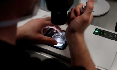 Lab staff prepare small petri dishes