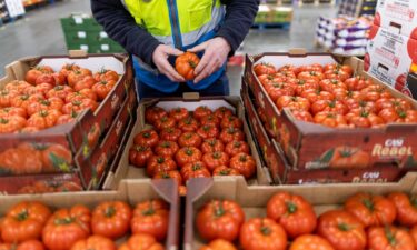 An employee checks tomatoes imported from Spain at the D & F McCarthy Ltd. wholesaler in Norwich