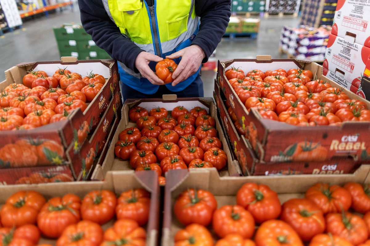 <i>Chris Ratcliffe/Bloomberg/Getty Images via CNN Newsource</i><br/>An employee checks tomatoes imported from Spain at the D & F McCarthy Ltd. wholesaler in Norwich