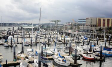 A river otter attacked a family at Bremerton Marina in Kitsap County