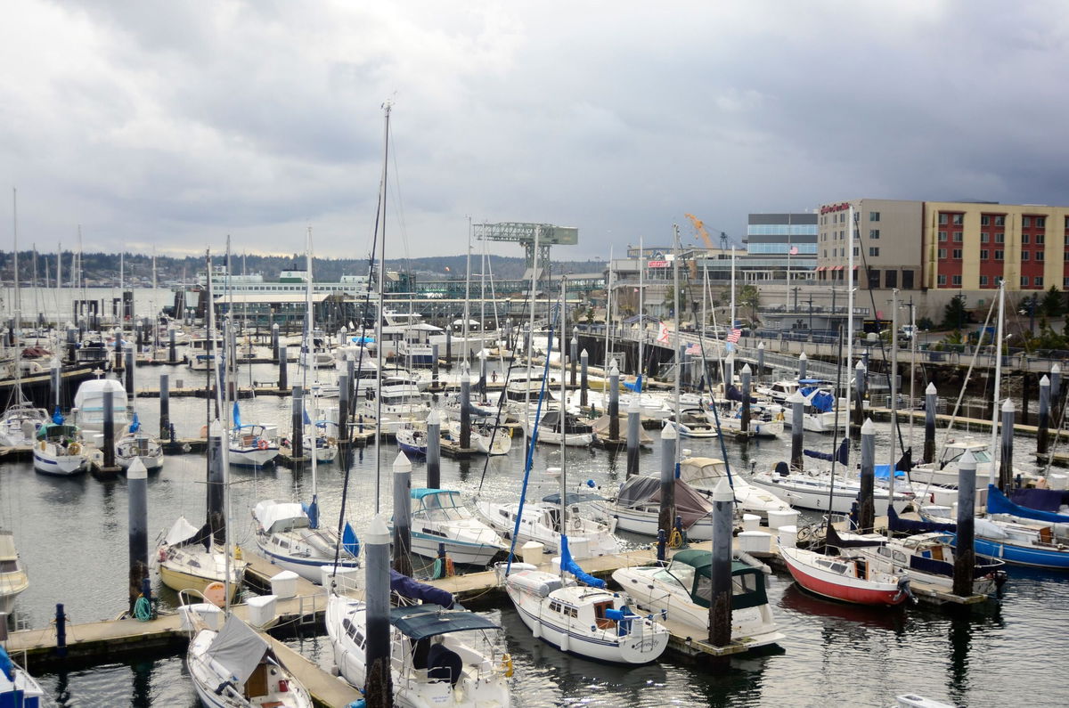 <i>Aaron McCoy/The Image Bank RF/Getty Images via CNN Newsource</i><br/>A river otter attacked a family at Bremerton Marina in Kitsap County