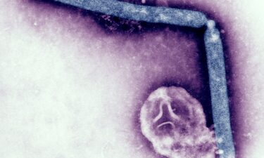 The CDC says the risk of H5N1 to the general population remains low.