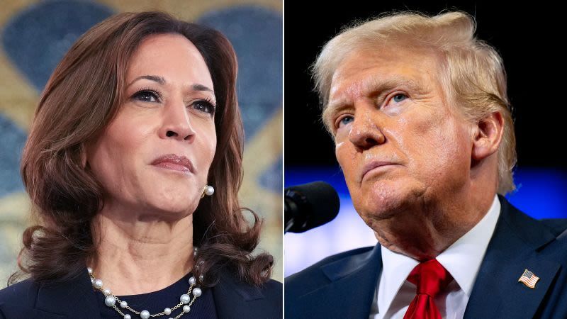 <i>Getty Images via CNN Newsource</i><br/>Vice President Kamala Harris and former President Donald Trump are pictured in a split image.