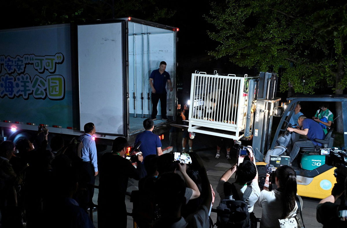 <i>China Daily/Reuters via CNN Newsource</i><br/>Giant panda An An is carried onto a truck as the two giant pandas make their way to Hong Kong