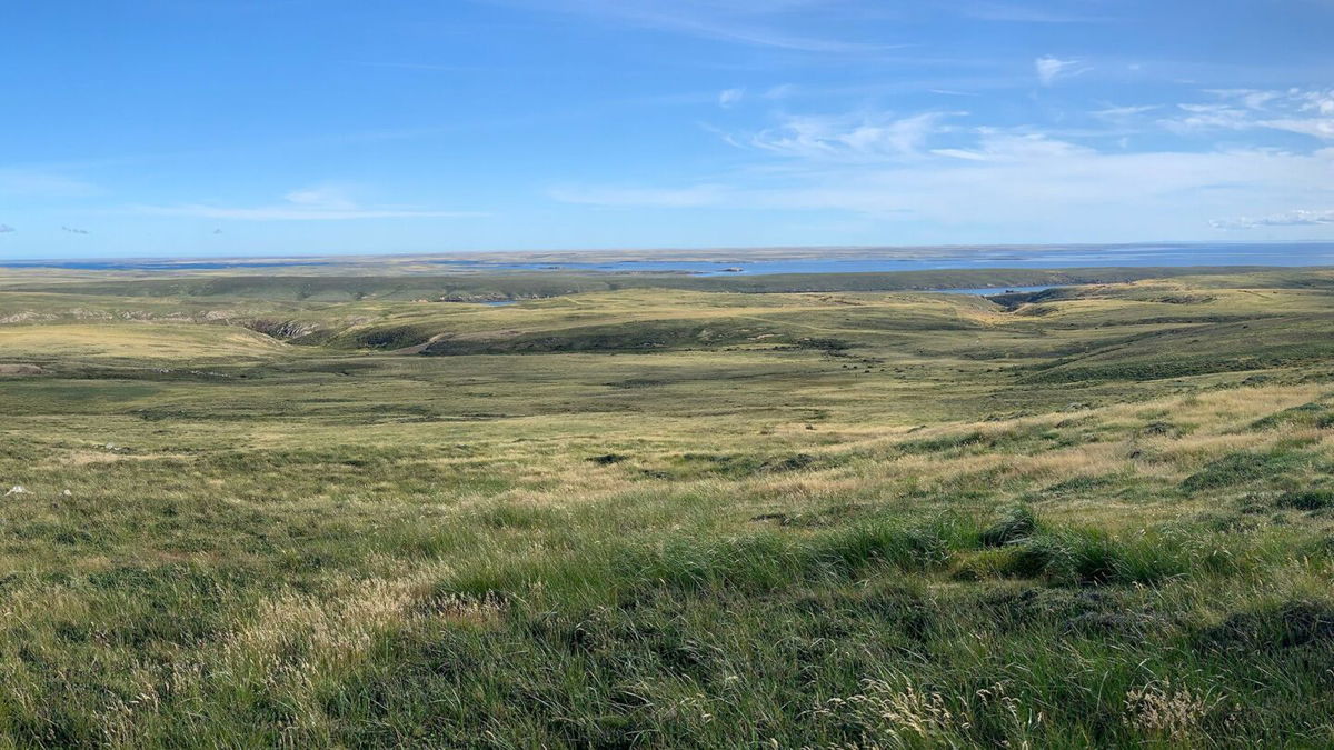 <i>Zoë Thomas/University of Southampton via CNN Newsource</i><br/>A panoramic view of the Falkland Islands shows a windswept