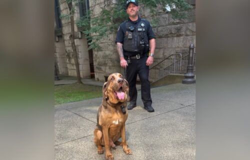 Allegheny County Sheriff K-9 Ranger helped track down a bank robbery suspect in Carnegie.