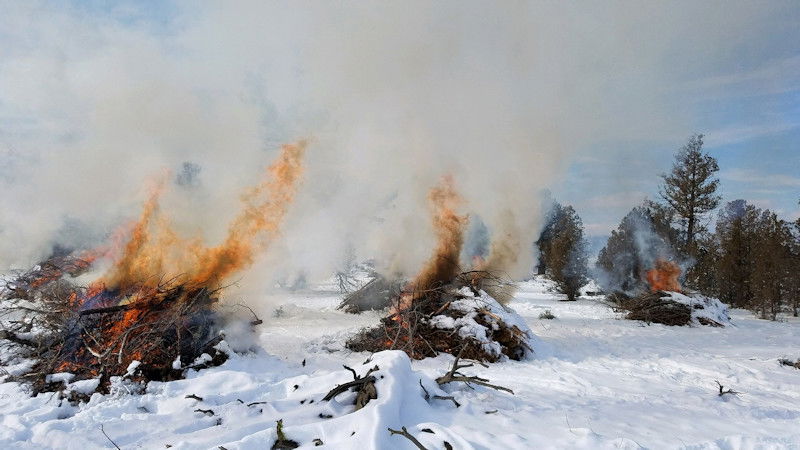 Rain and snow keep fire from spreading beyond the piles.