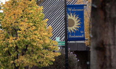 An image showing a 'Welcome to Redmond' flag in Downtown Redmond next to a tree