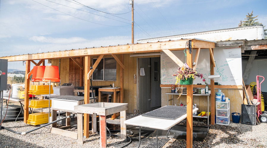 Prineville's Canyon Moon Farms used HDFFA on-farm efficiency grant to build vegetable washing and packing station.