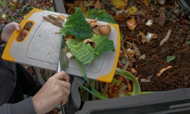 Just 5% of America's food waste is composted. Which states are getting it done?