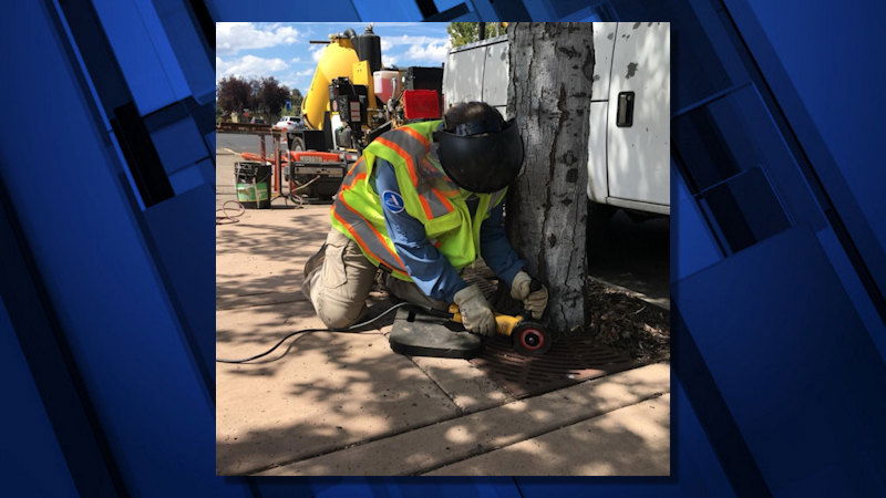 Heart of Oregon crew completing tree grate maintenance in partnership with City of Redmond.