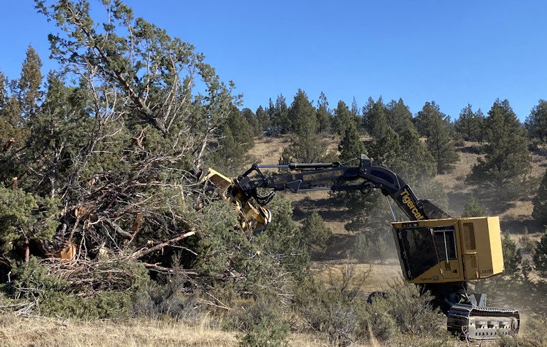 Rail Ridge Fire delayed western juniper removal project on Ochoco National Forest