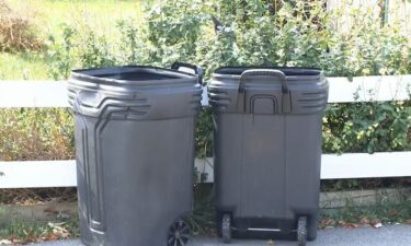 Pennsylvania State Police said the four pit bull-type puppies were found tied up in plastic grocery bags inside a garbage can on Beacon Avenue in Canton Township the morning of Oct. 20. Neighbors called police after they heard dogs crying from inside the trash can.