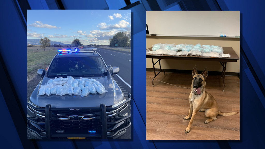 Drug-detection K-9 helped OSP trooper find 40 pounds of crystal methamphetamine during I-5 traffic stop.