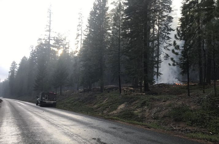 Red Fire area along Forest Service Road 60 on Wednesday.