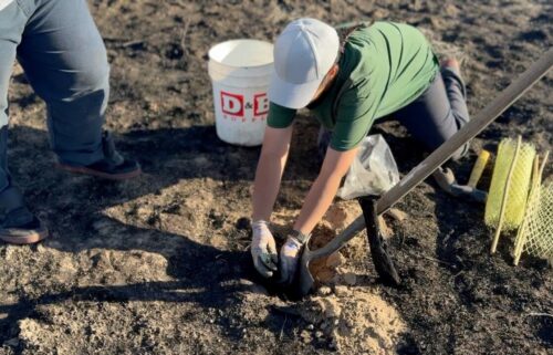 The Sagebrush in Prisons Project is helping restore sagebrush habitat near Boise