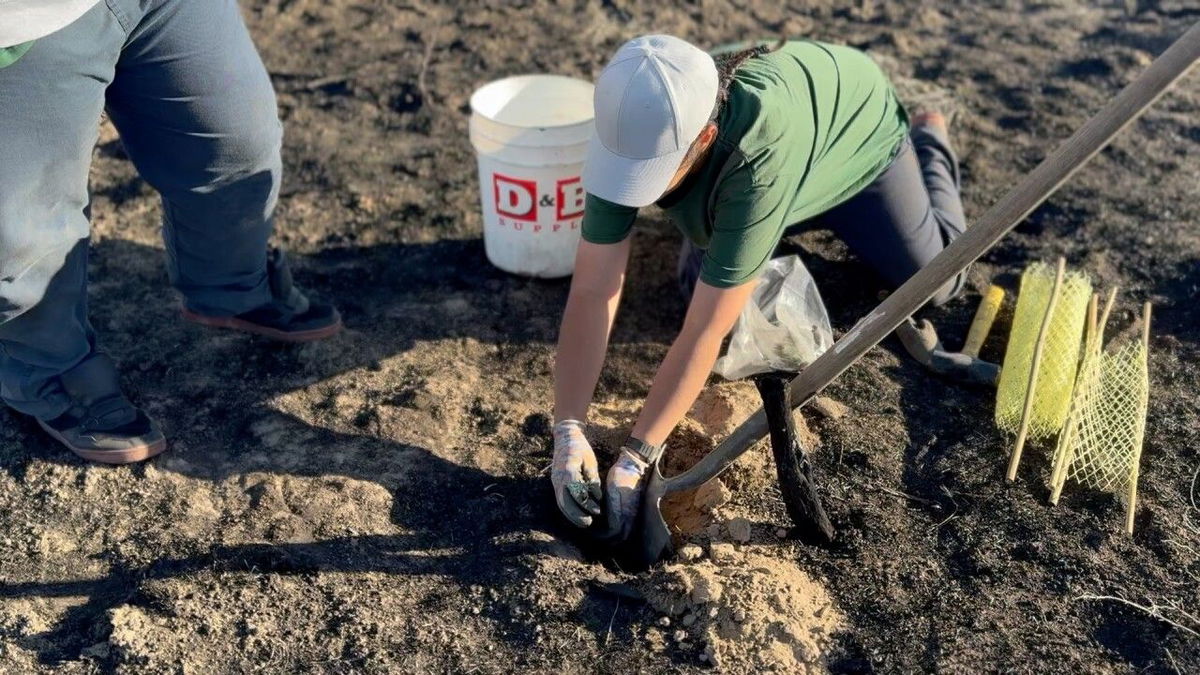 <i>KIVI via CNN Newsource</i><br/>The Sagebrush in Prisons Project is helping restore sagebrush habitat near Boise