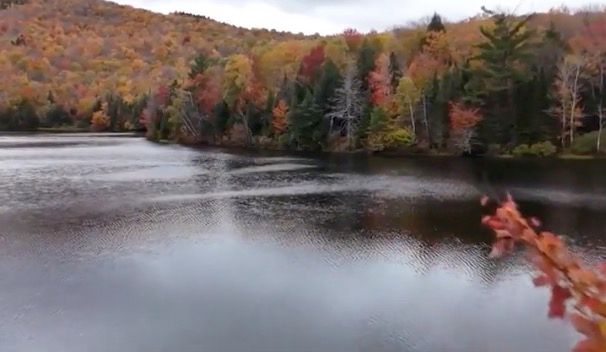 <i>WMUR via CNN Newsource</i><br/>Two local friends made it their mission on October 15 to clean up the mess that was left behind over the weekend by massive crowds visiting New Hampshire's White Mountains to catch a glimpse of the changing leaves.