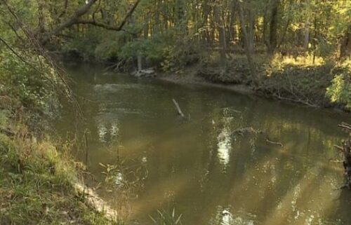 Human remains were found in the Lower Rouge River area near Pershing Street in Wayne