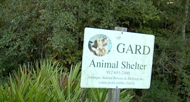 <i>WJCL via CNN Newsource</i><br/>A Pembroke animal rescue is under investigation after the Georgia Department of Agriculture found animals in poor conditions at Georgia Animal Rescue and Defense (GARD).