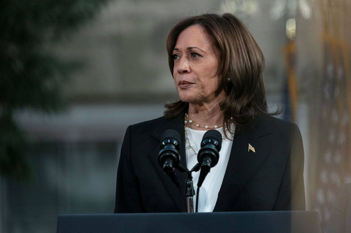 <i>Jim Vondruska/Getty Images via CNN Newsource</i><br/>Vice President and Democratic Presidential nominee Kamala Harris speaks during a rally at Ripon College on October 3 in Ripon