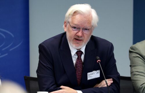 WikiLeaks founder Julian Assange speaks during a parliamentary hearing at the Council of Europe in Strasbourg