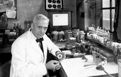 Alexander Fleming is pictured in his laboratory at St. Mary's Hospital in London in 1943.