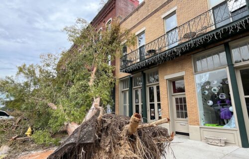 Trees were torn from the sidewalk in downtown Augusta after the city saw about four months’ worth of rain in just two days