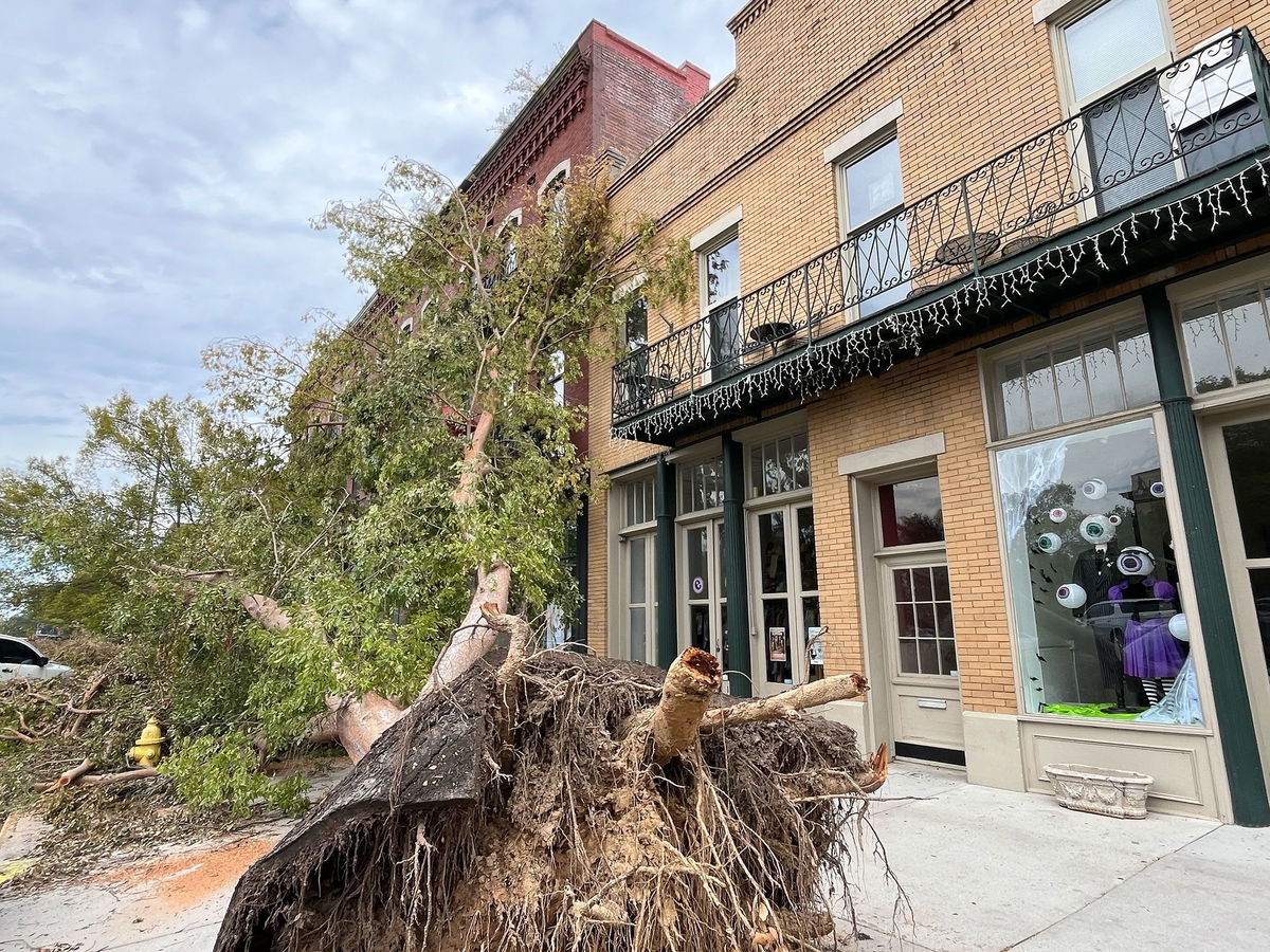 <i>CNN via CNN Newsource</i><br/>Trees were torn from the sidewalk in downtown Augusta after the city saw about four months’ worth of rain in just two days