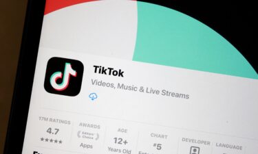 TikTok's time-management tools don't work