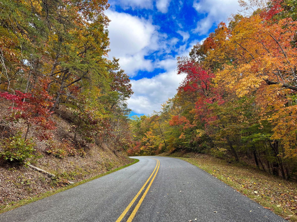 <i>NPS/File via CNN Newsource</i><br/>A 2022 photo shows the autumn beauty of the Blue Ridge Parkway between mile posts 0 and 60 in Virginia.