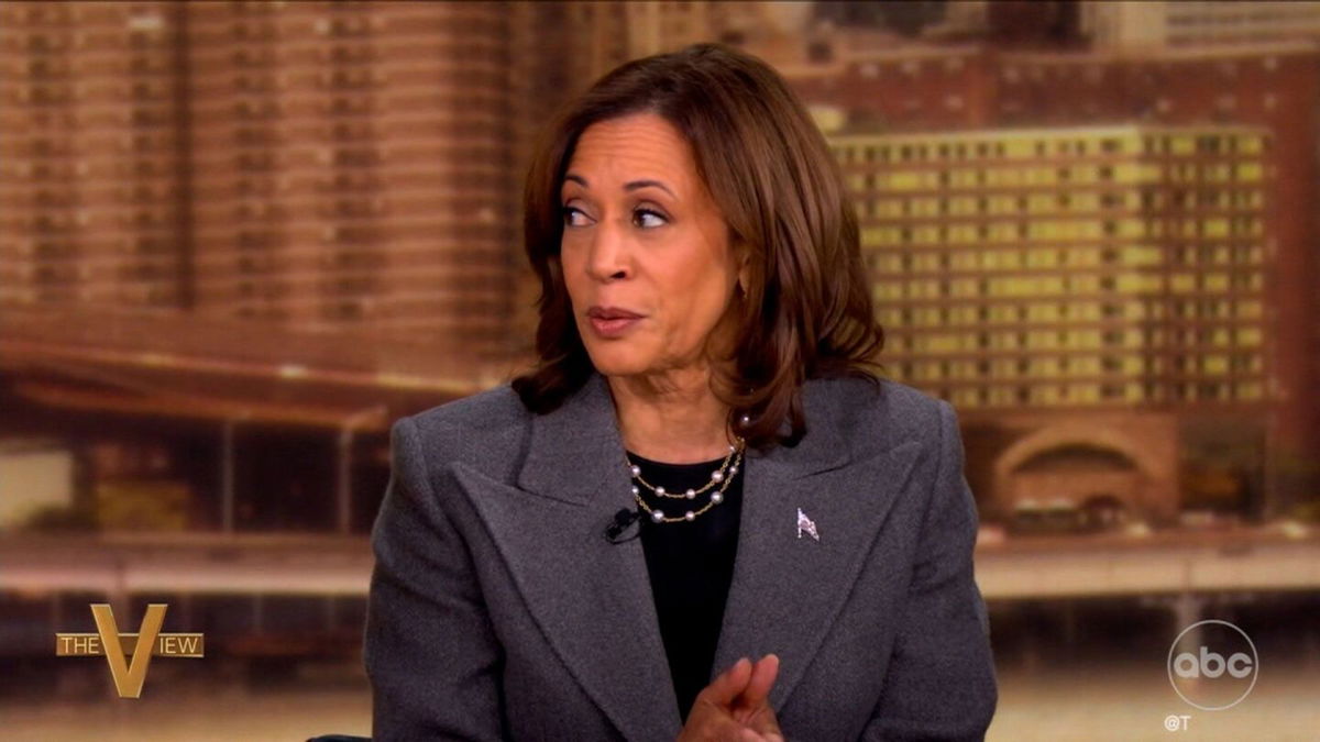 <i>WABC via CNN Newsource</i><br/>Vice President Kamala Harris appears on The View on Tuesday