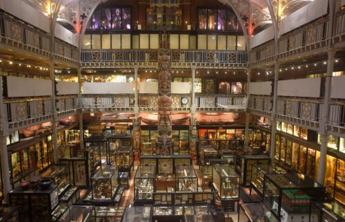 A view of the the Pitt Rivers Museum in Oxford