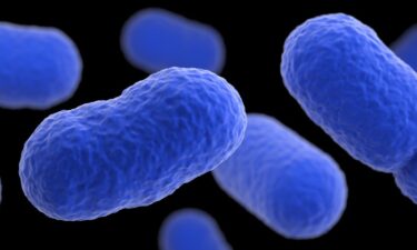 An infection caused by listeria is the third leading cause of death from foodborne illness in the United States.