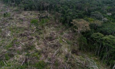 A section of deforestation is pictured near La Paz