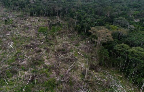 A section of deforestation is pictured near La Paz