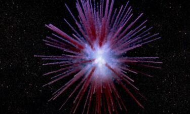 Filaments radiate away from a “zombie star” the explosion created.