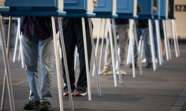 Voters cast their ballots during Michigan's early voting period on October 29