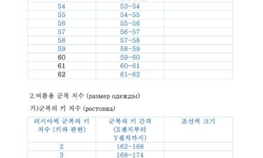 A copy of the questionnaire North Korean soldiers filled out after arriving in Russia