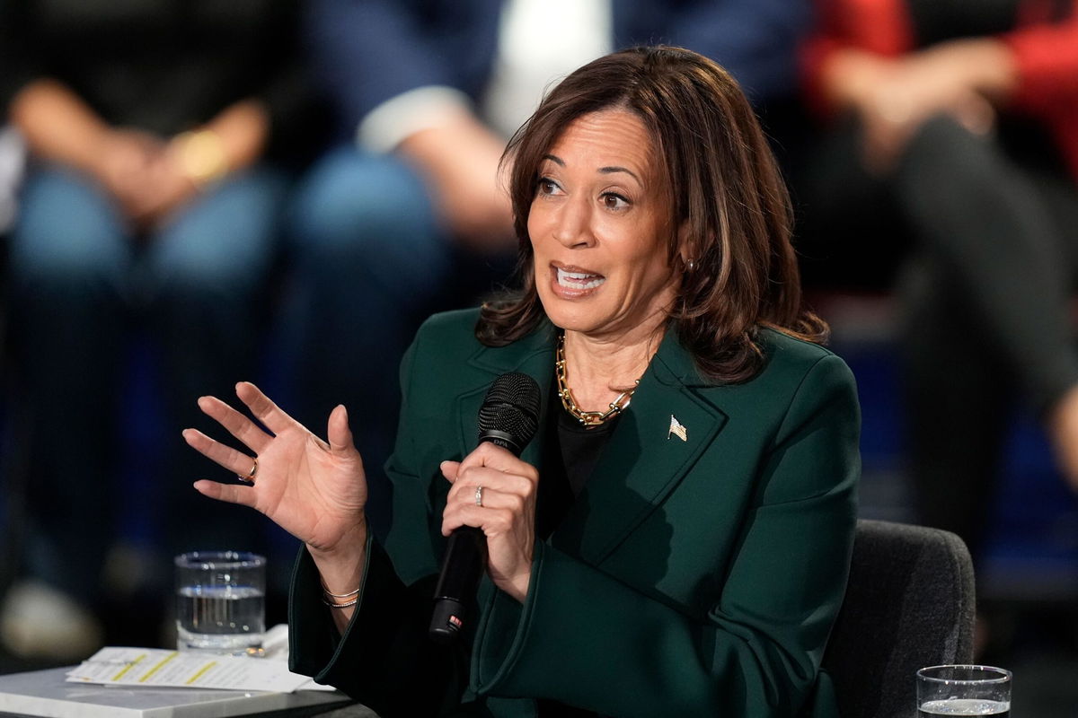 <i>Carlos Osorio/AP via CNN Newsource</i><br/>Democratic presidential nominee Vice President Kamala Harris speaks during a town hall at the Royal Oak Theatre in Royal Oak