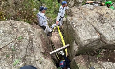 The woman was wedged between rocks near an overgrown bush track.