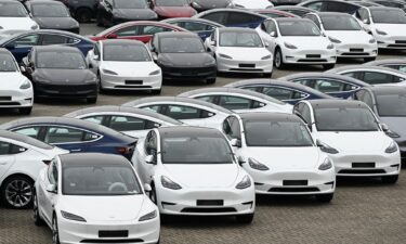 Teslas stationed in a storage area in the Zeebrugge port